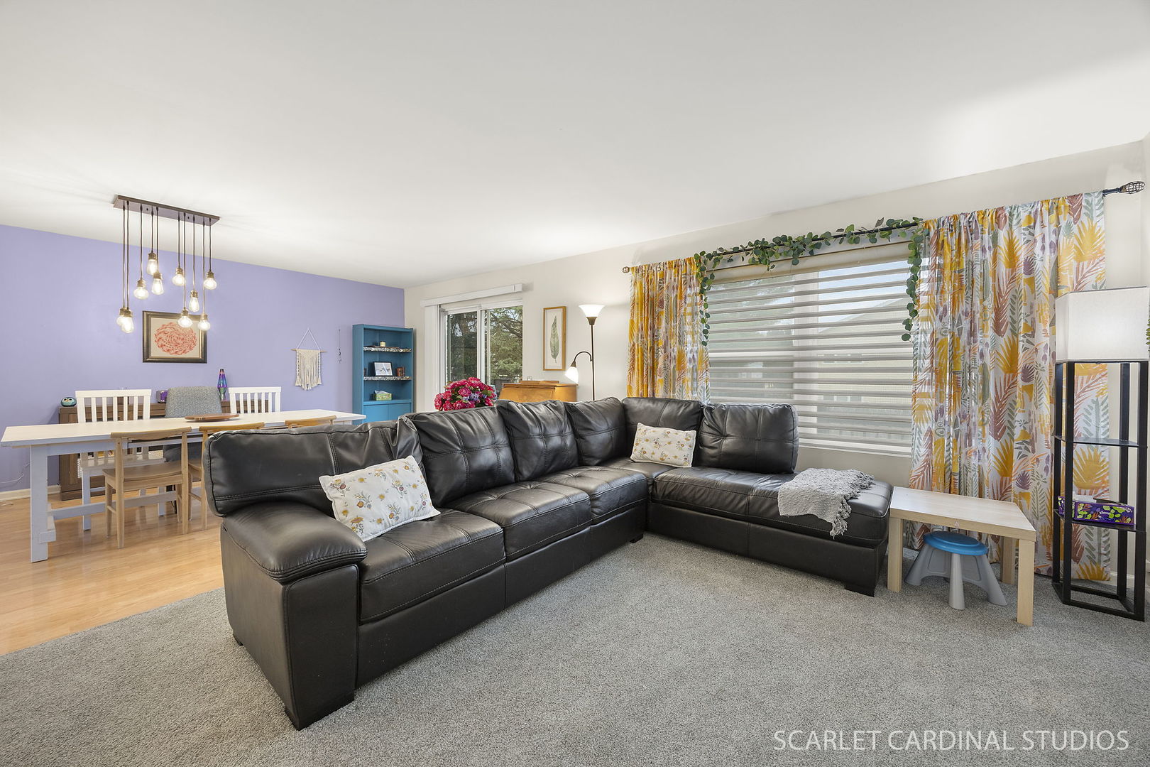 222 Meadows Drive, Sugar Grove, IL 60554