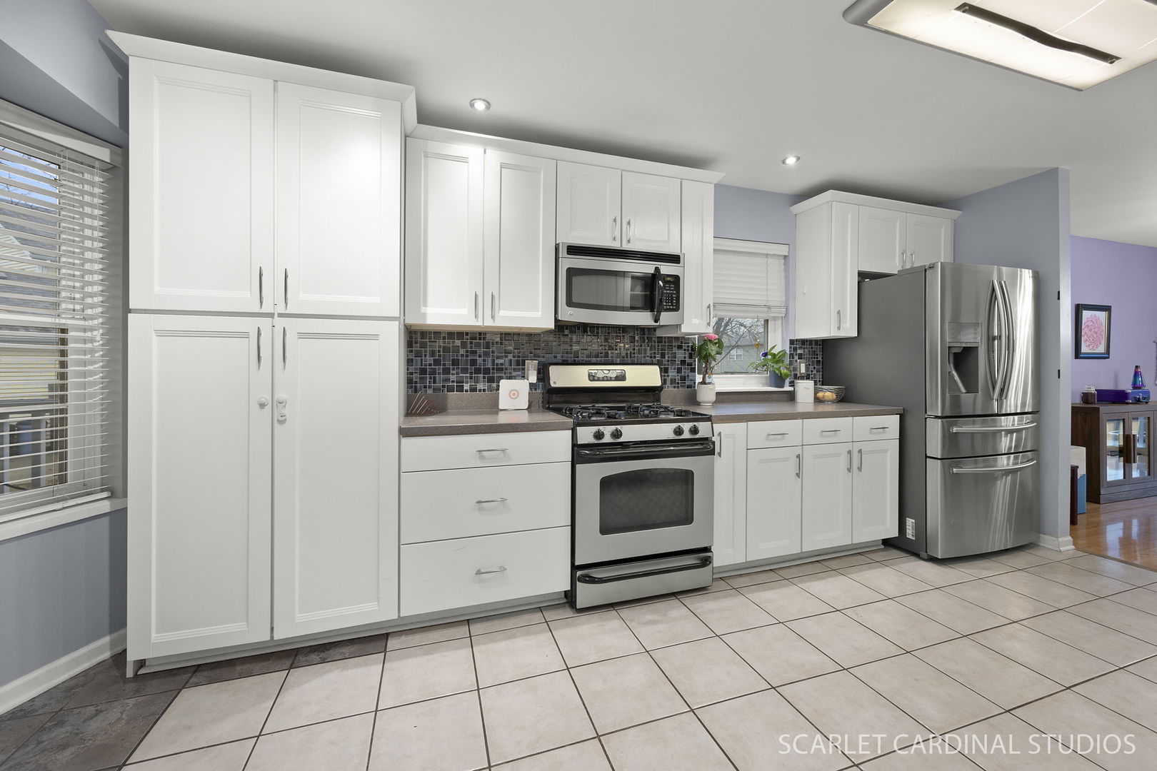 222 Meadows Drive, Sugar Grove, IL 60554