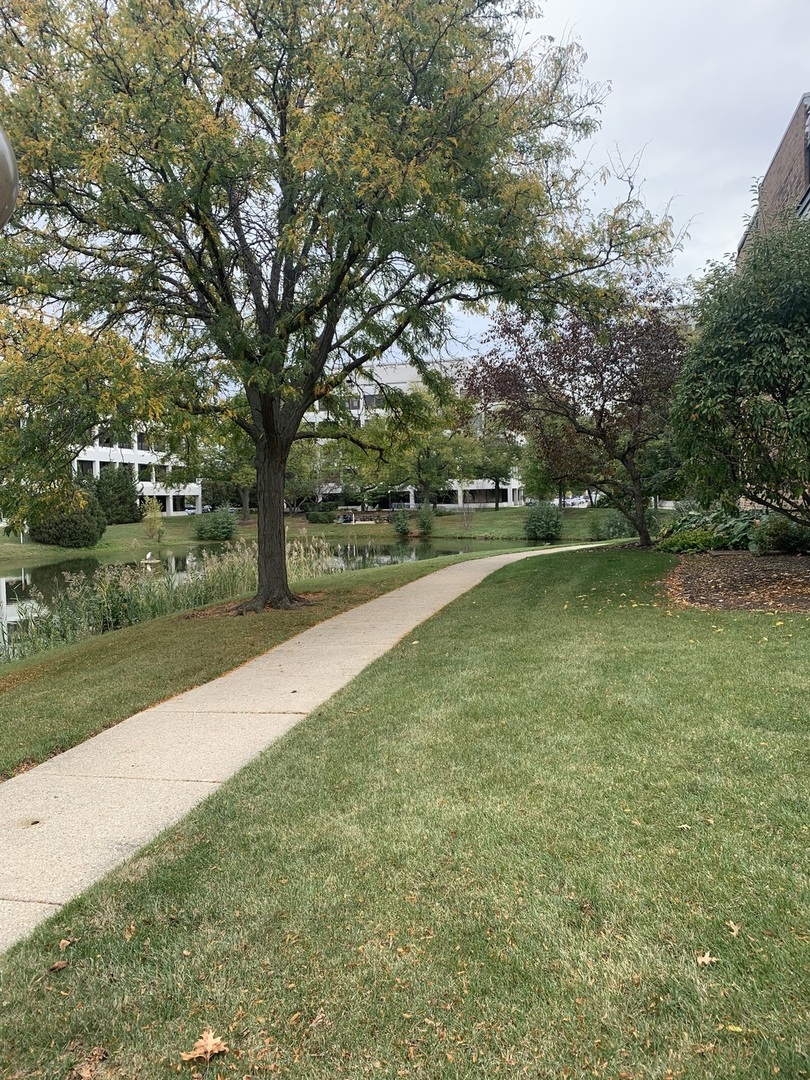 1813 Hemlock Place #107, Schaumburg, IL 60173