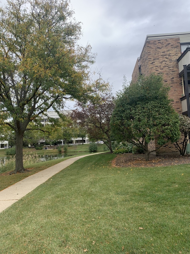 1813 Hemlock Place #107, Schaumburg, IL 60173