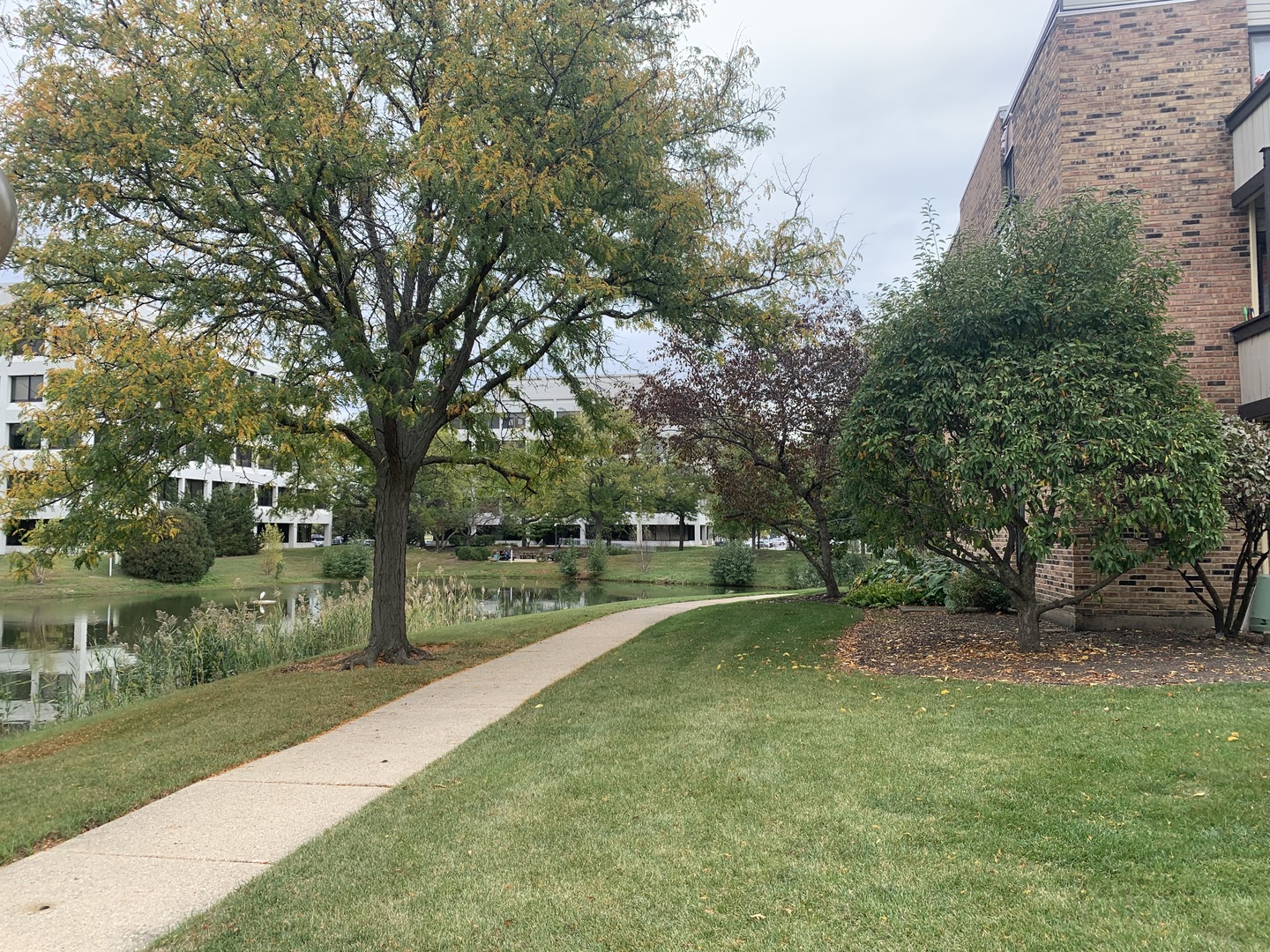 1813 Hemlock Place #107, Schaumburg, IL 60173
