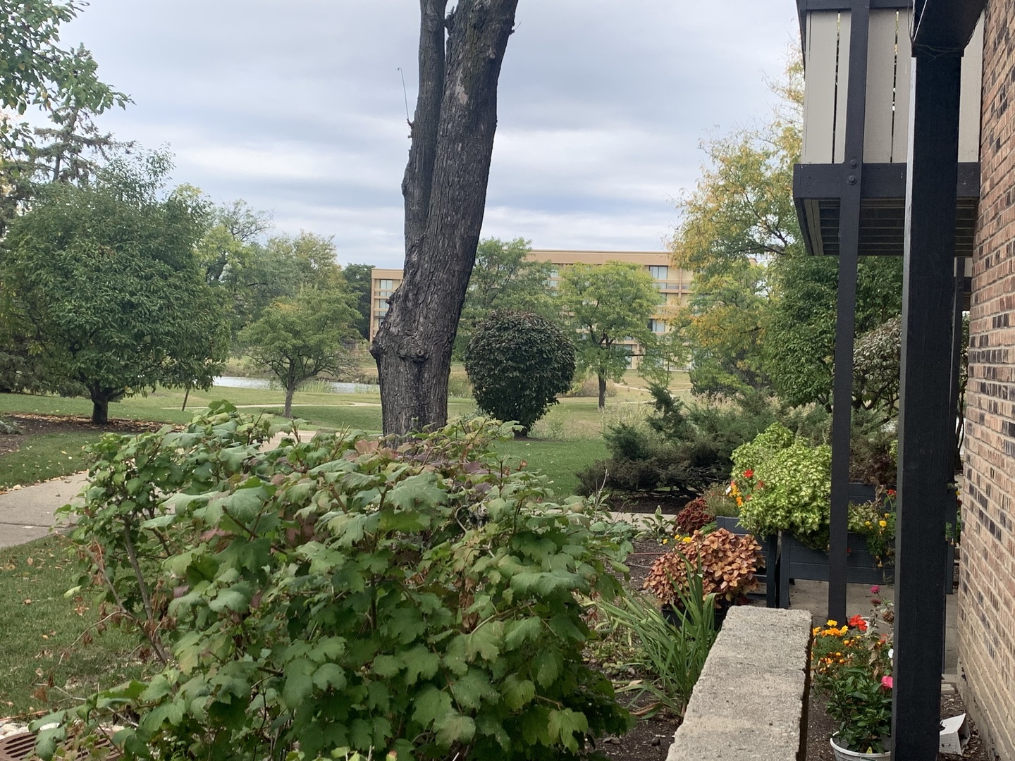 1813 Hemlock Place #107, Schaumburg, IL 60173