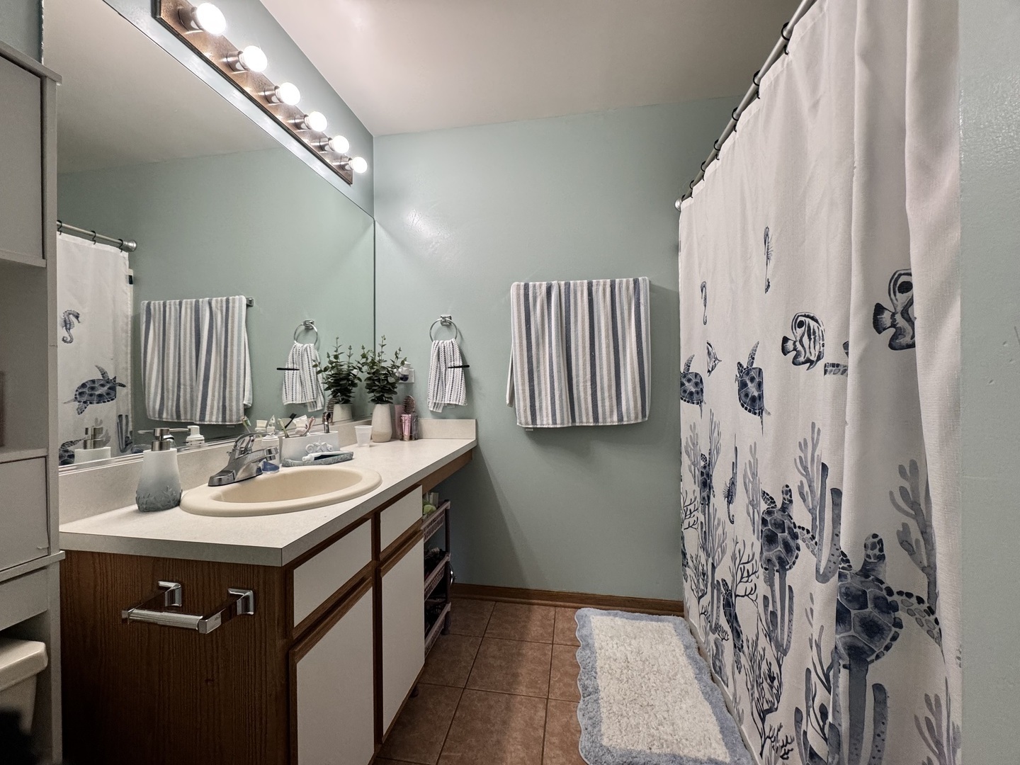 161 Mountain Laurel Court, Romeoville, IL 60446