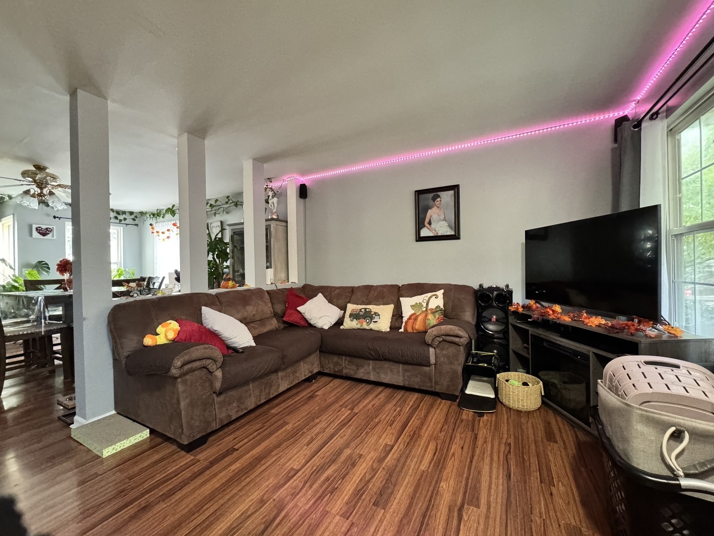 161 Mountain Laurel Court, Romeoville, IL 60446