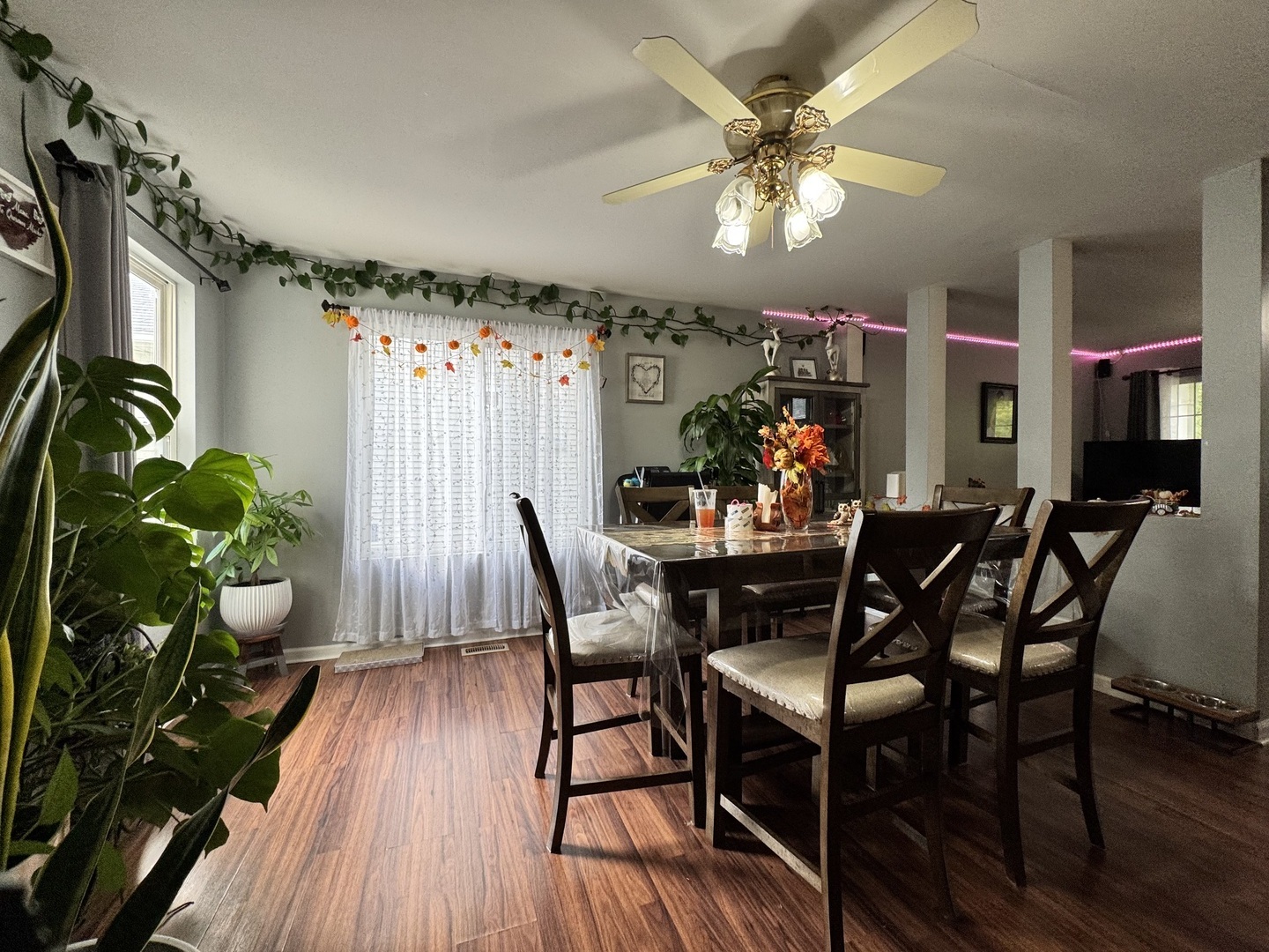 161 Mountain Laurel Court, Romeoville, IL 60446