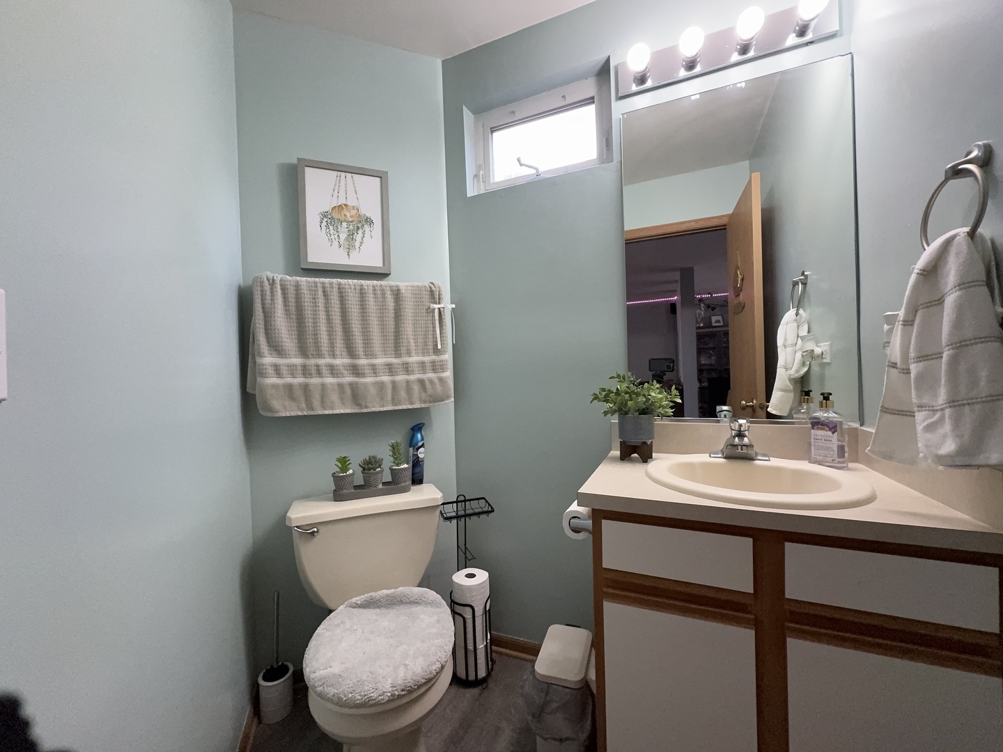 161 Mountain Laurel Court, Romeoville, IL 60446