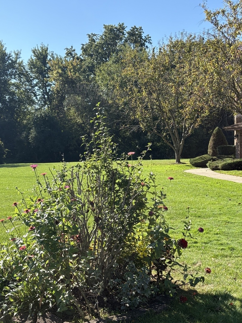 11116 Heritage Drive #3B, Palos Hills, IL 60465