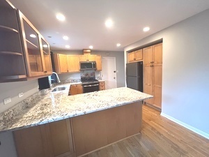 556 N BARTON Avenue #2, Evanston, IL 60202