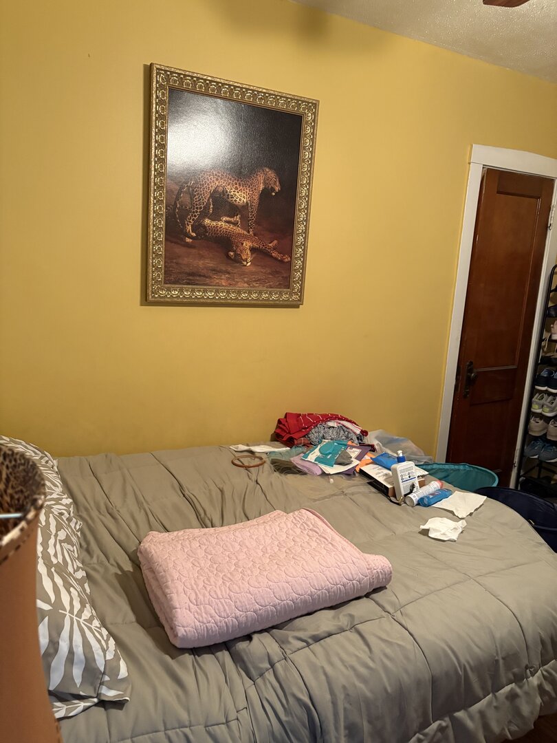 3523 N Whipple Street, Chicago, IL 60618