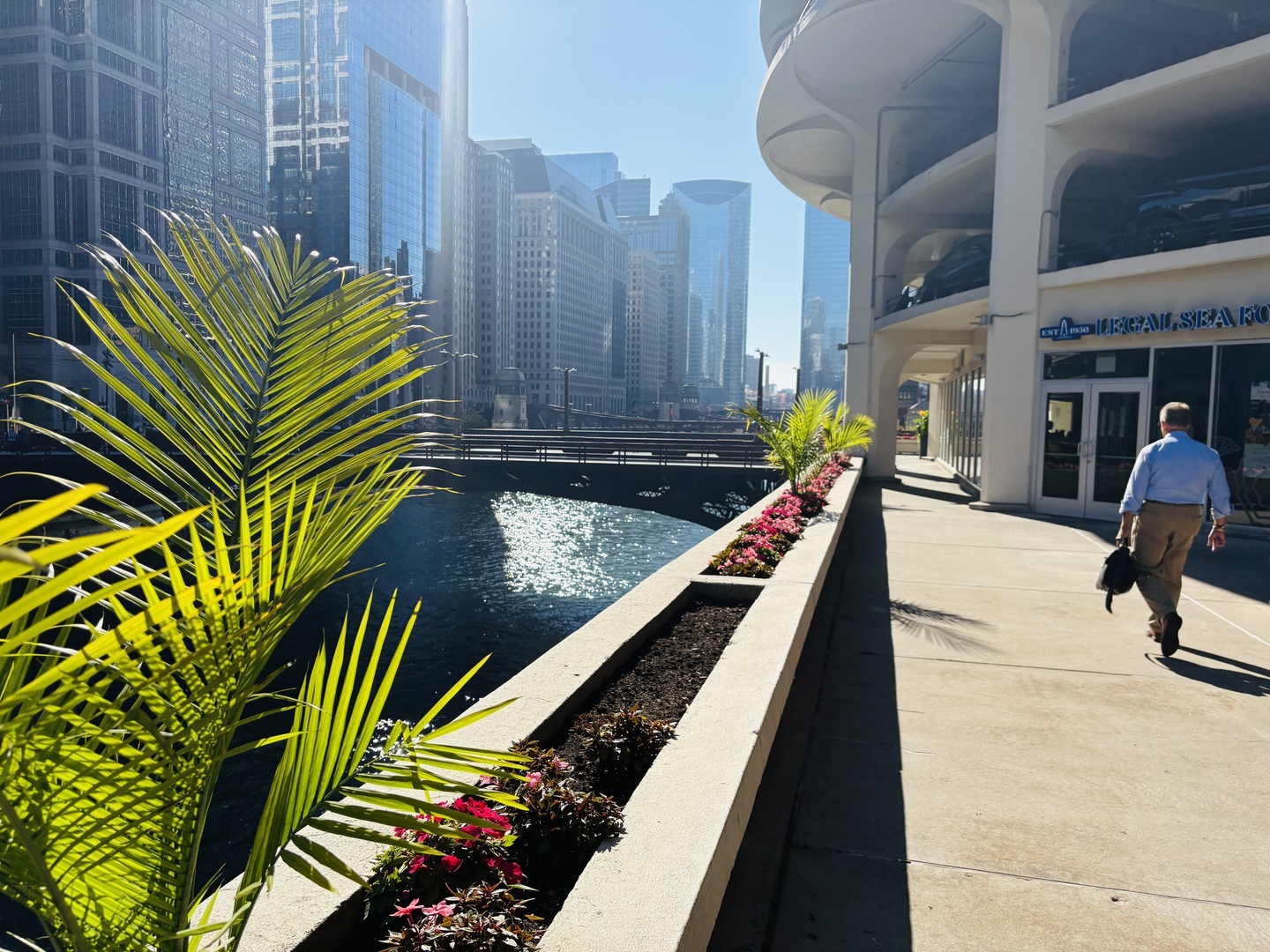 300 N State Street #3228, Chicago, IL 60654