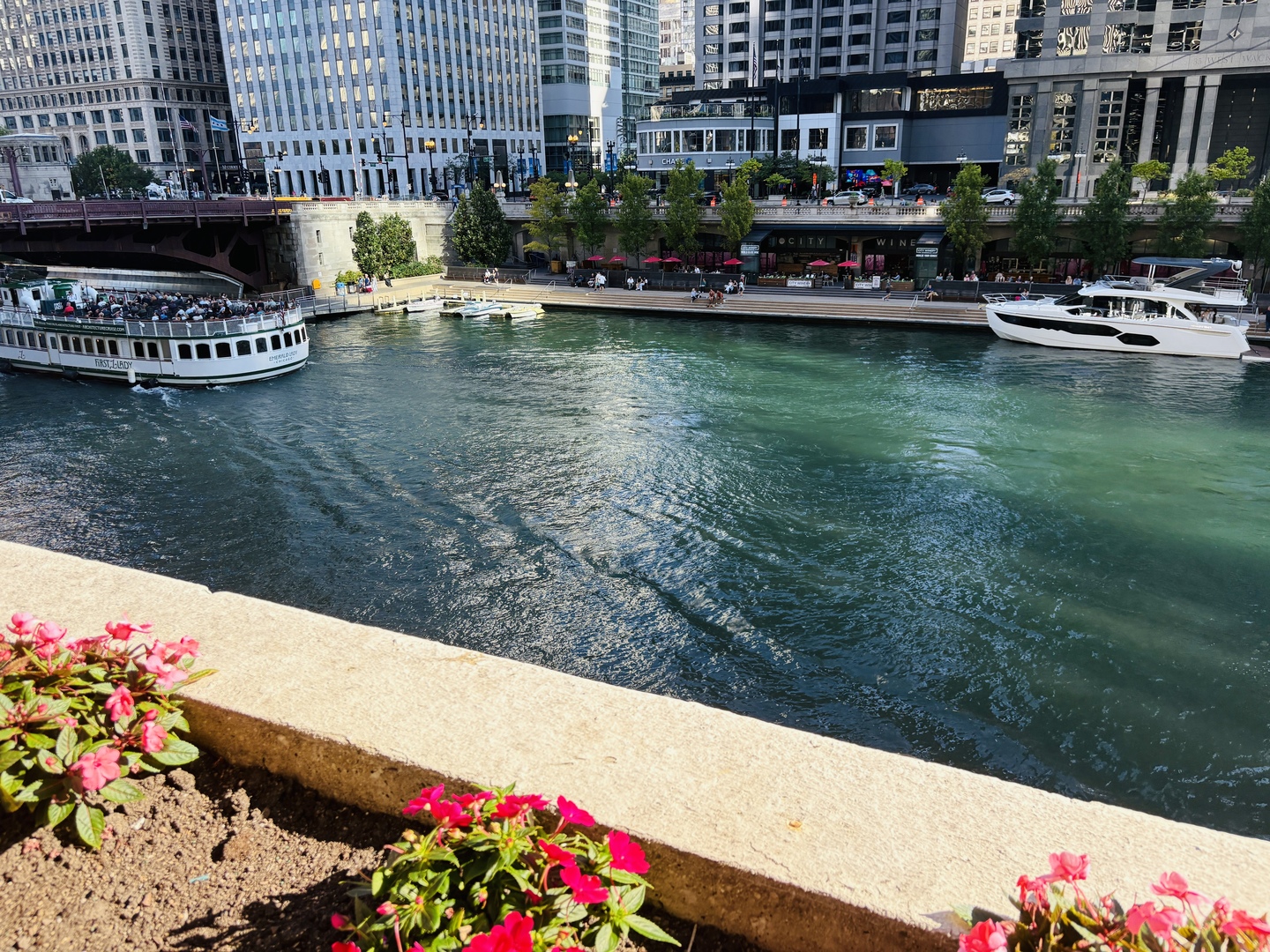 300 N State Street #3228, Chicago, IL 60654