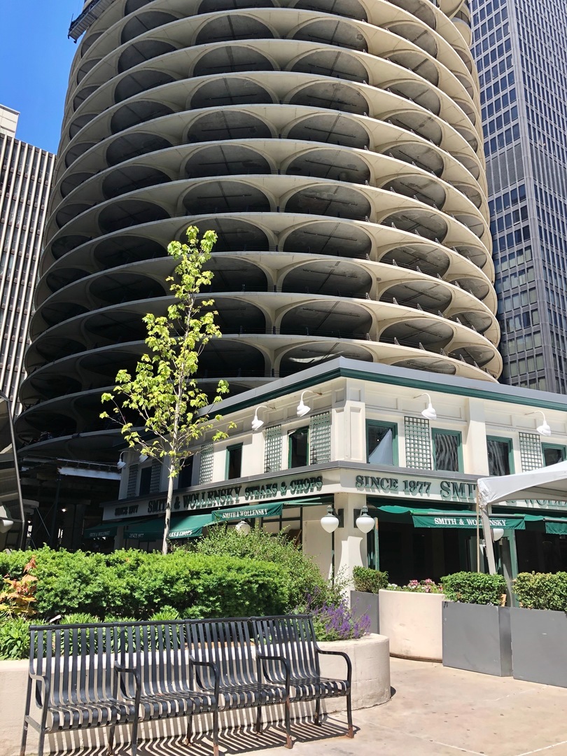 300 N State Street #3228, Chicago, IL 60654