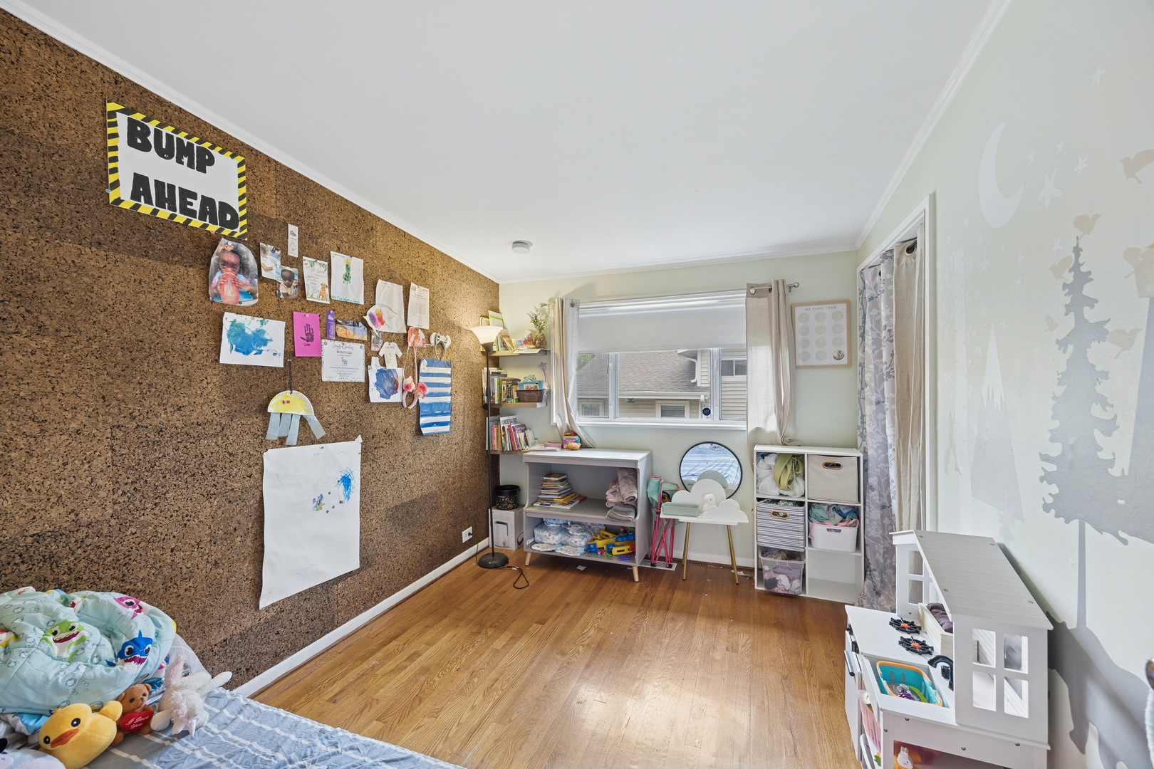 356 Winnebago Street, Park Forest, IL 60466