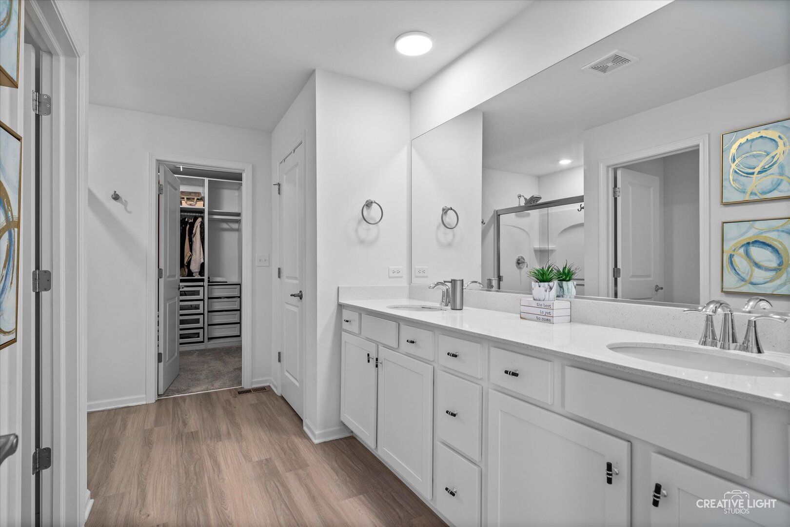 16131 S Lake View Road, Plainfield, IL 60586