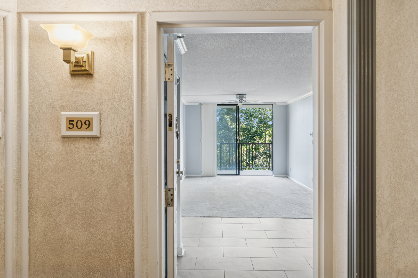 511 Aurora Avenue #509, Naperville, IL 60540