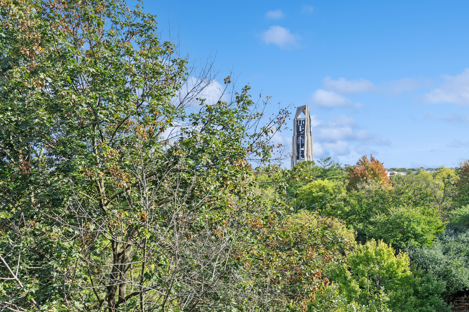 511 Aurora Avenue #509, Naperville, IL 60540