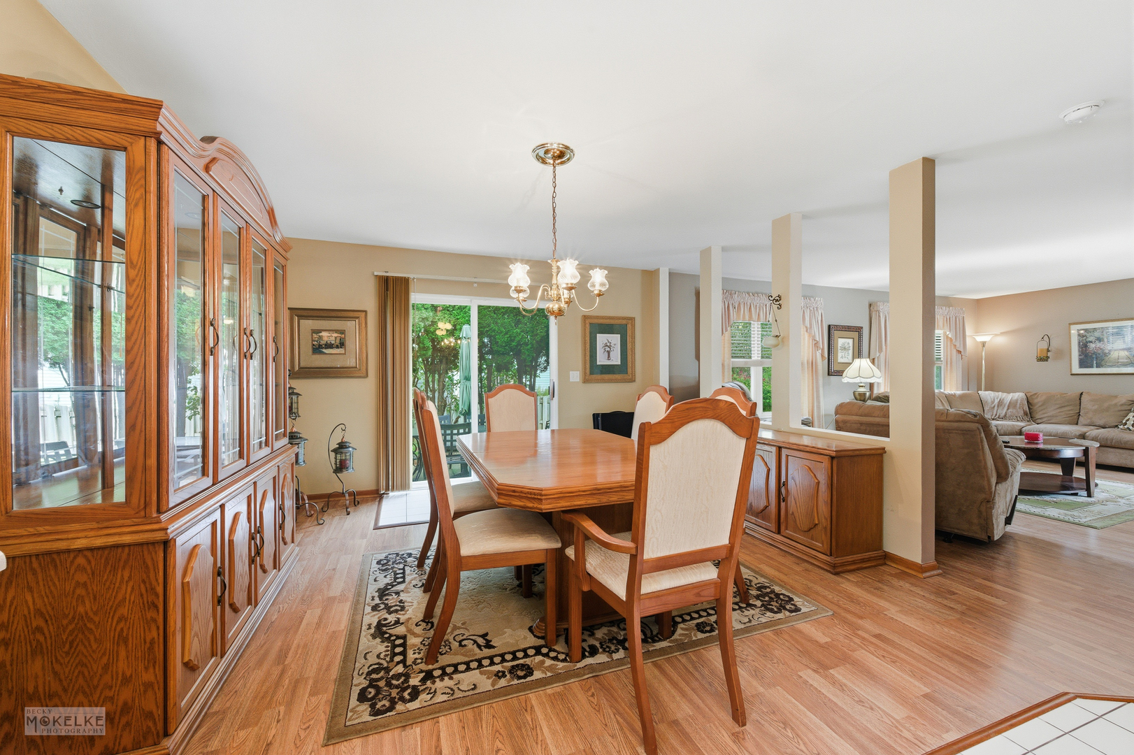 1466 Larkspur Court, Romeoville, IL 60446