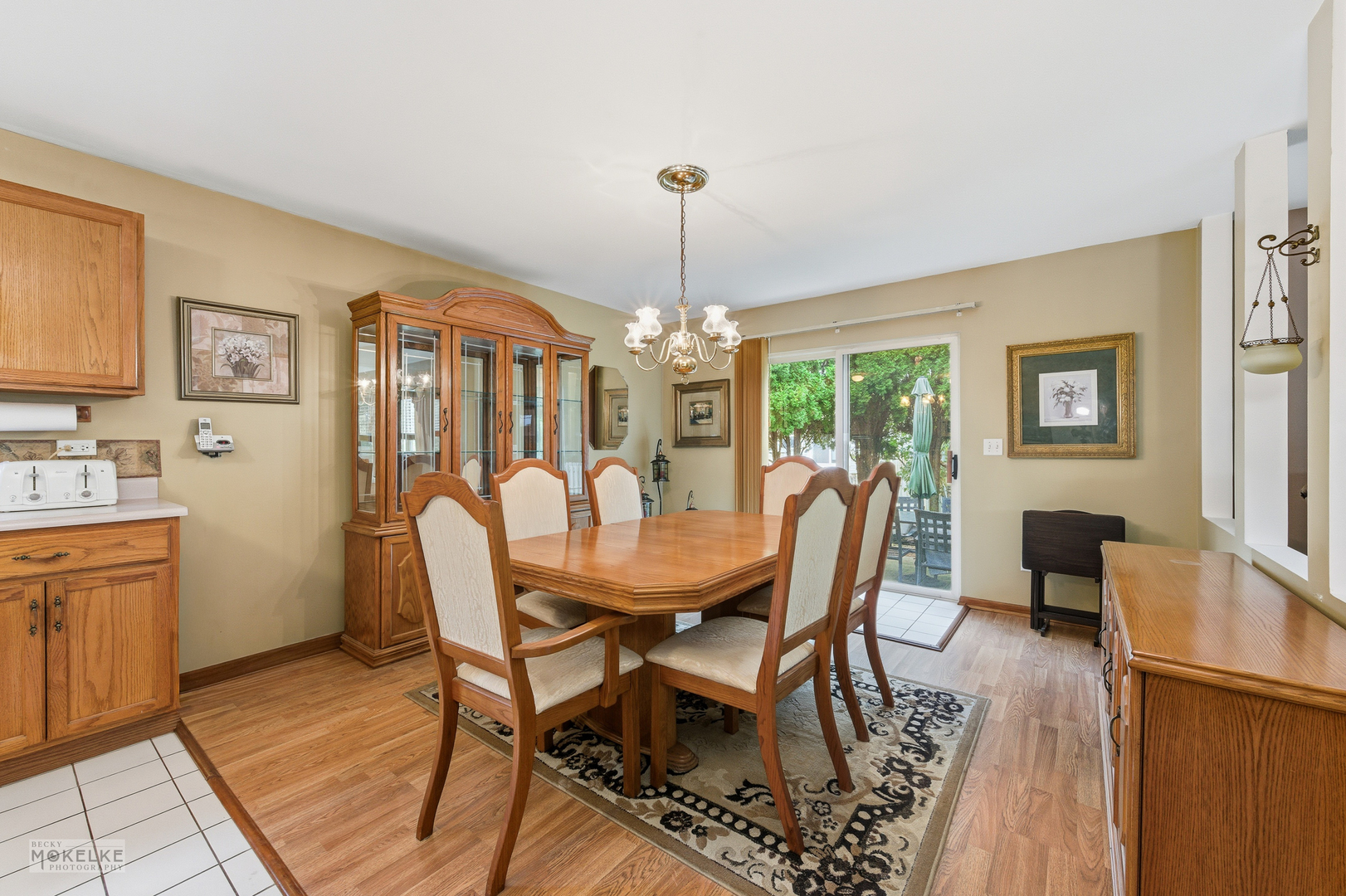 1466 Larkspur Court, Romeoville, IL 60446