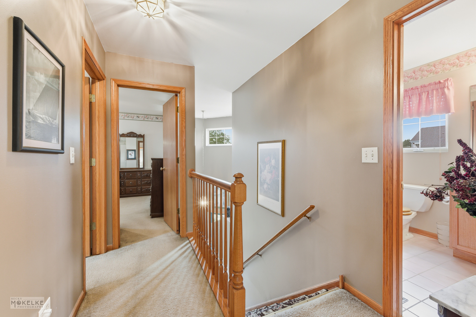 1466 Larkspur Court, Romeoville, IL 60446