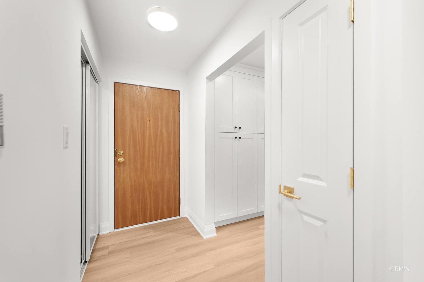 224 S Rush Street #3A, Itasca, IL 60143