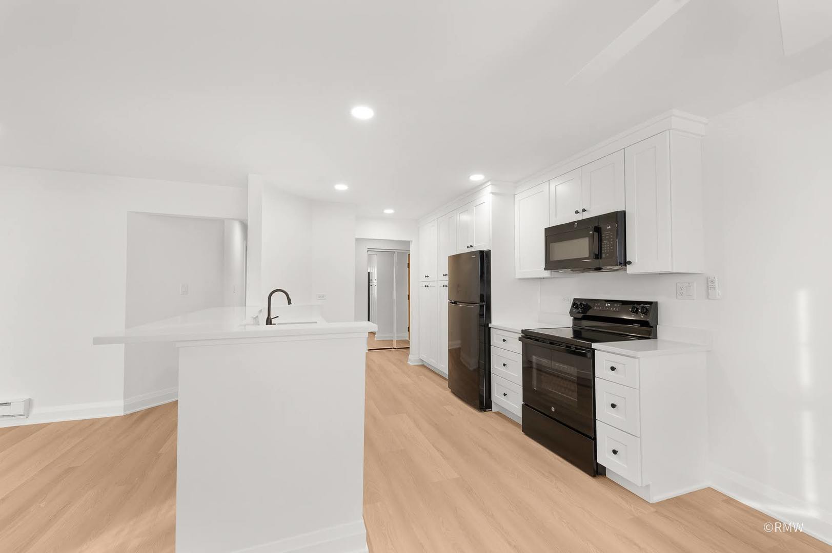 224 S Rush Street #3A, Itasca, IL 60143