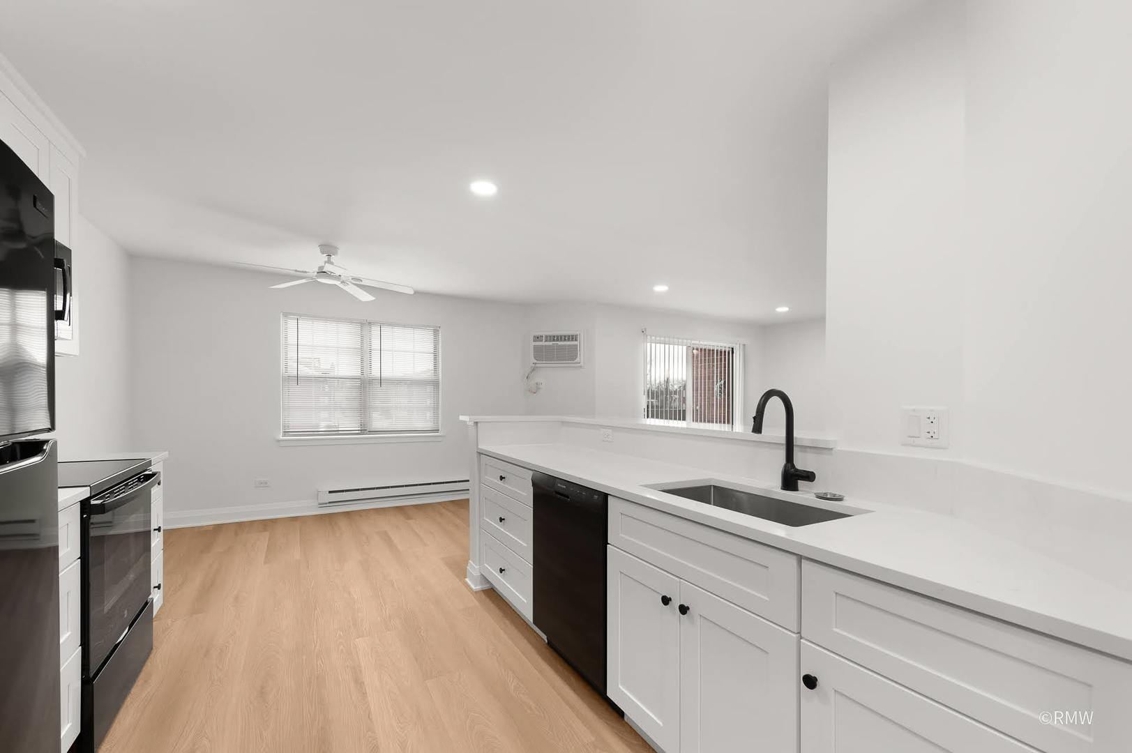 224 S Rush Street #3A, Itasca, IL 60143