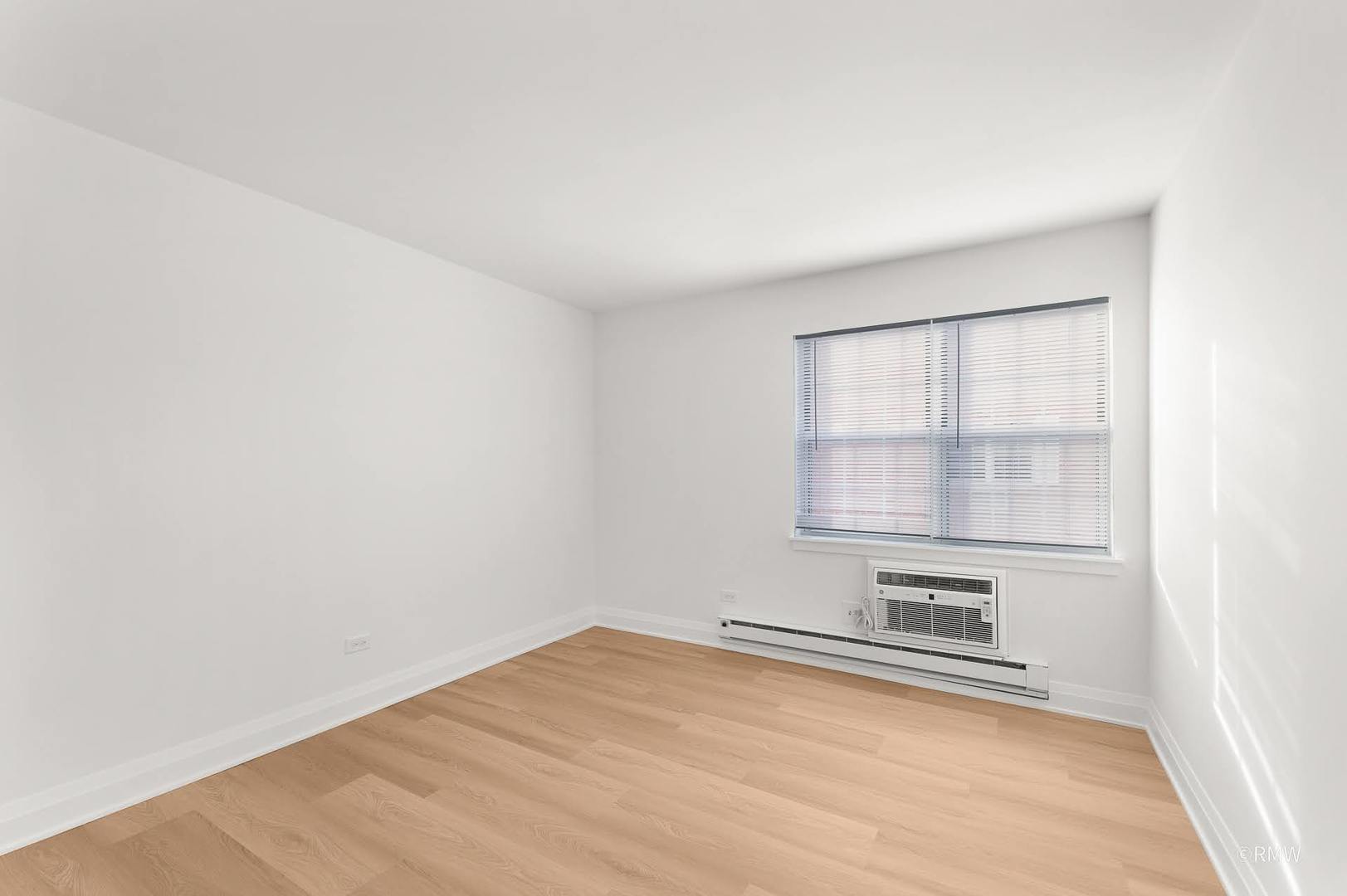 224 S Rush Street #3A, Itasca, IL 60143