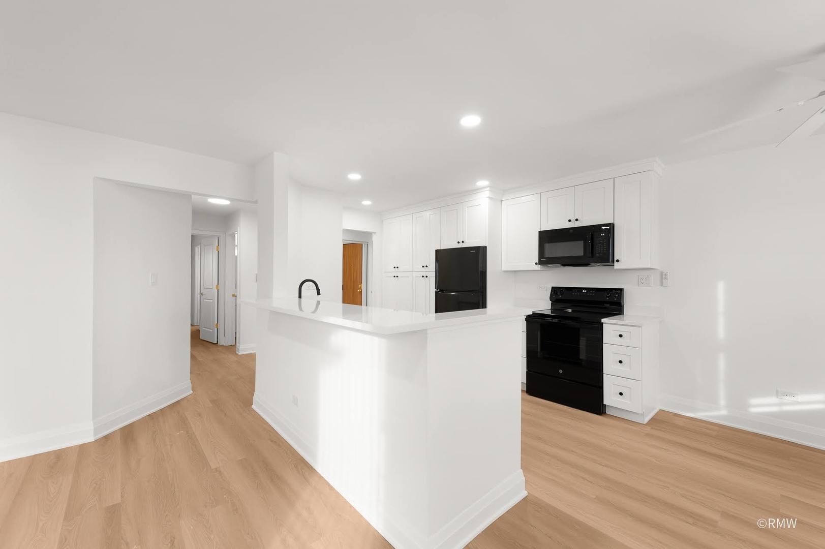 224 S Rush Street #3A, Itasca, IL 60143