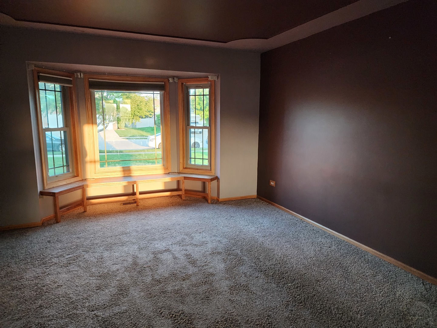 1009 Southcreek Drive, Manteno, IL 60950