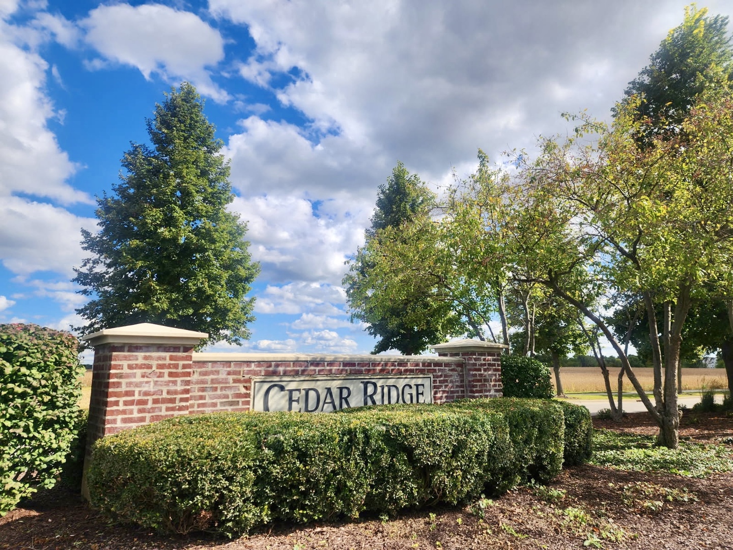 15226 Pinewood Road, Lockport, IL 60441