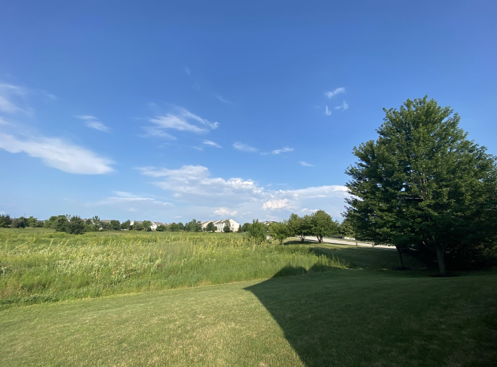 15226 Pinewood Road, Lockport, IL 60441