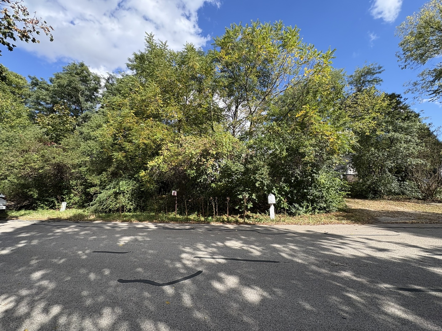 6N375 Rosedale Avenue, Roselle, IL 60172