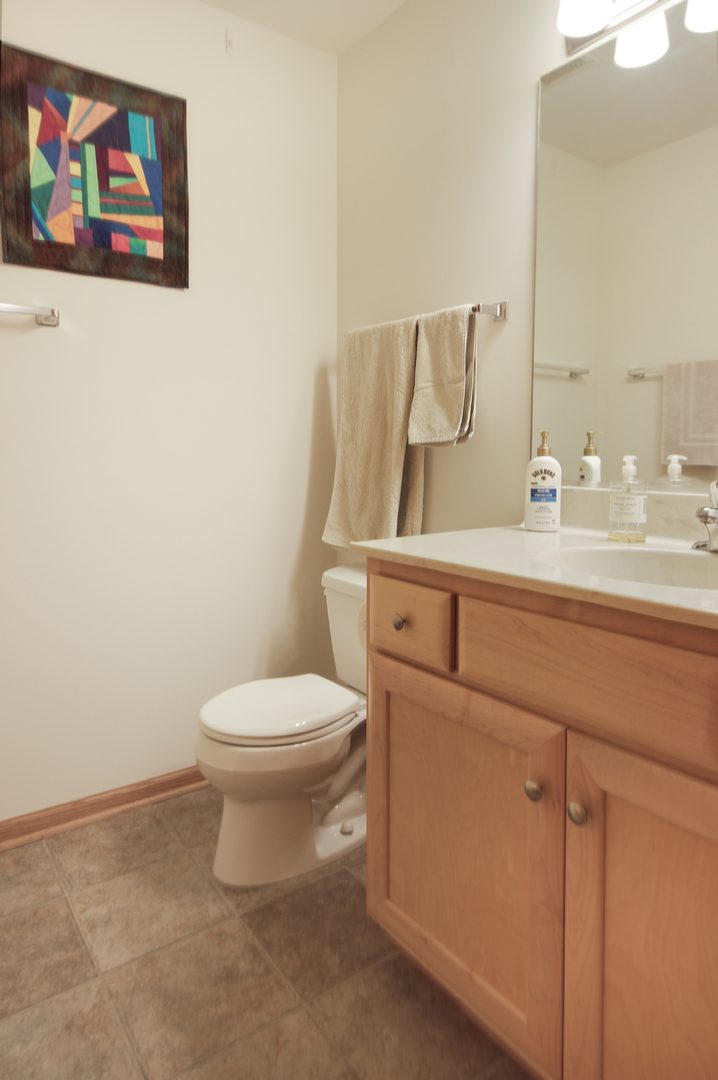 6254 Kallsen Drive #4, Tinley Park, IL 60477