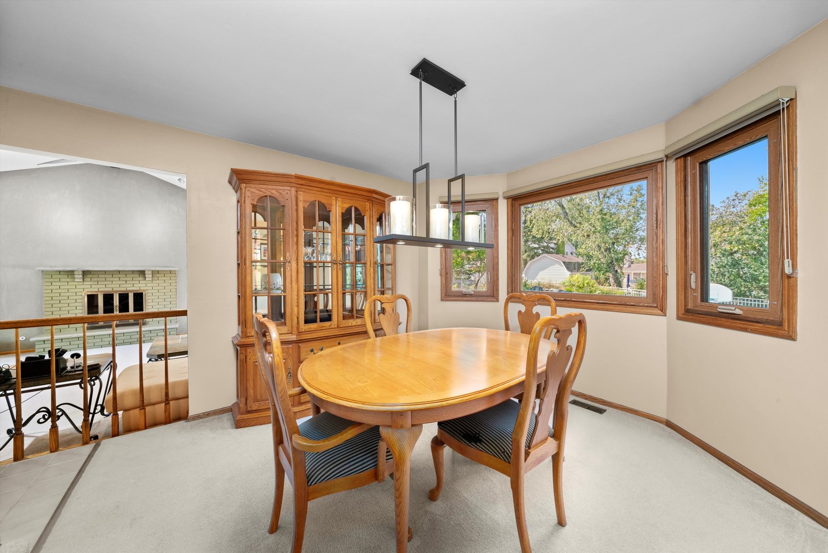 13952 S Oak Ridge Drive, Homer Glen, IL 60491