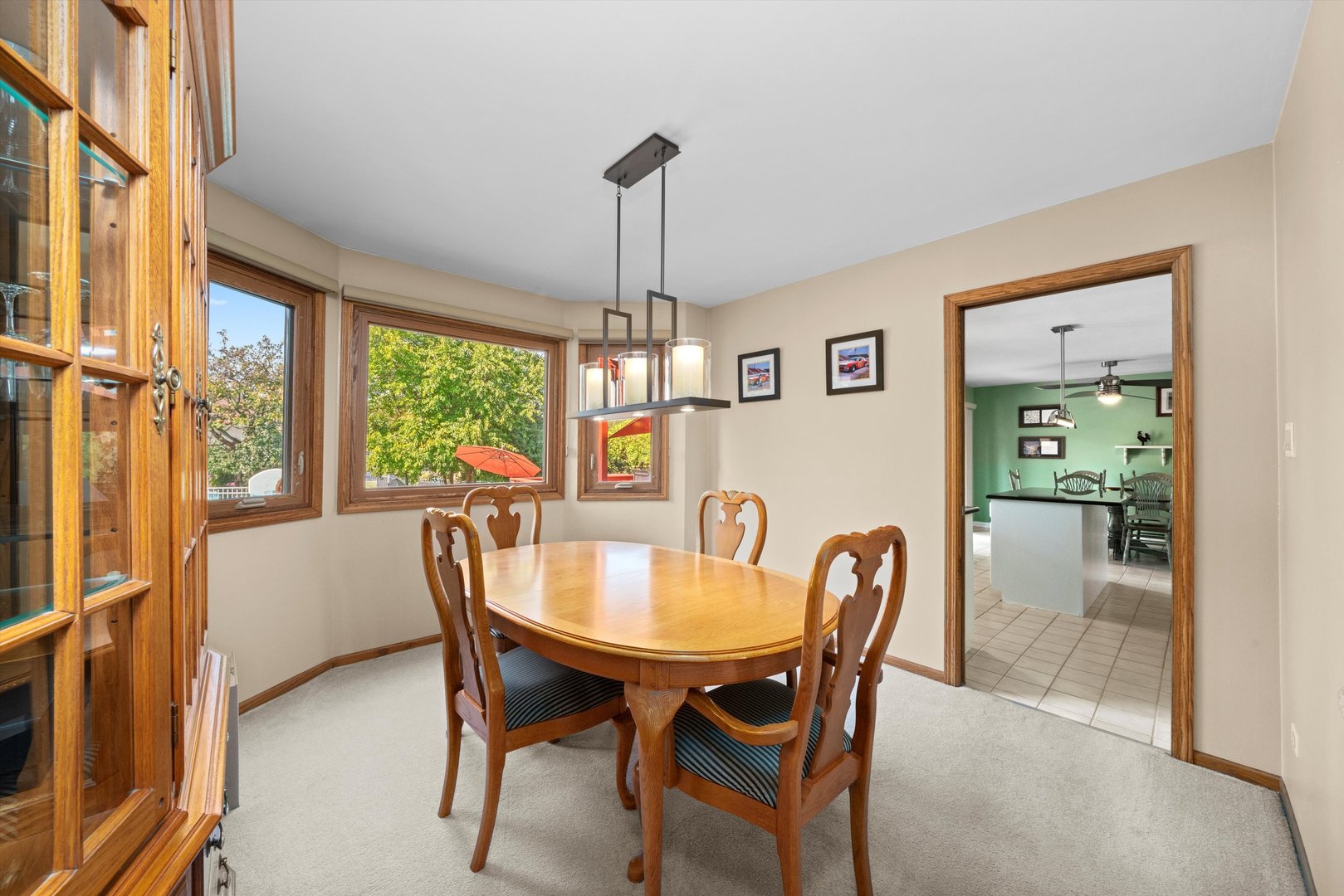 13952 S Oak Ridge Drive, Homer Glen, IL 60491