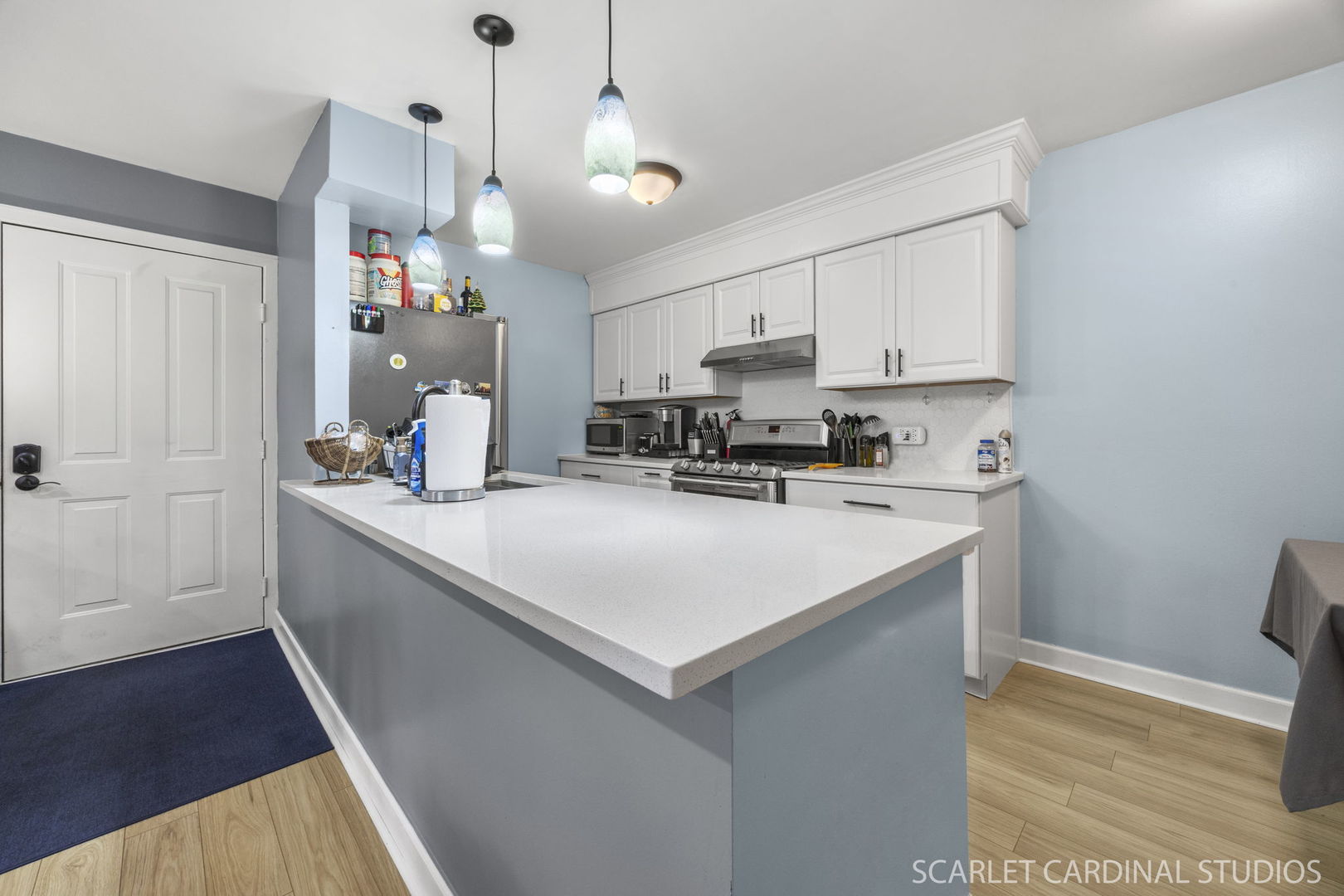 1412 N Sterling Avenue #203, Palatine, IL 60067