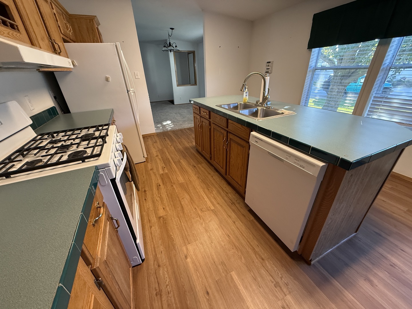 1007 Woodlawn Drive, Manteno, IL 60950