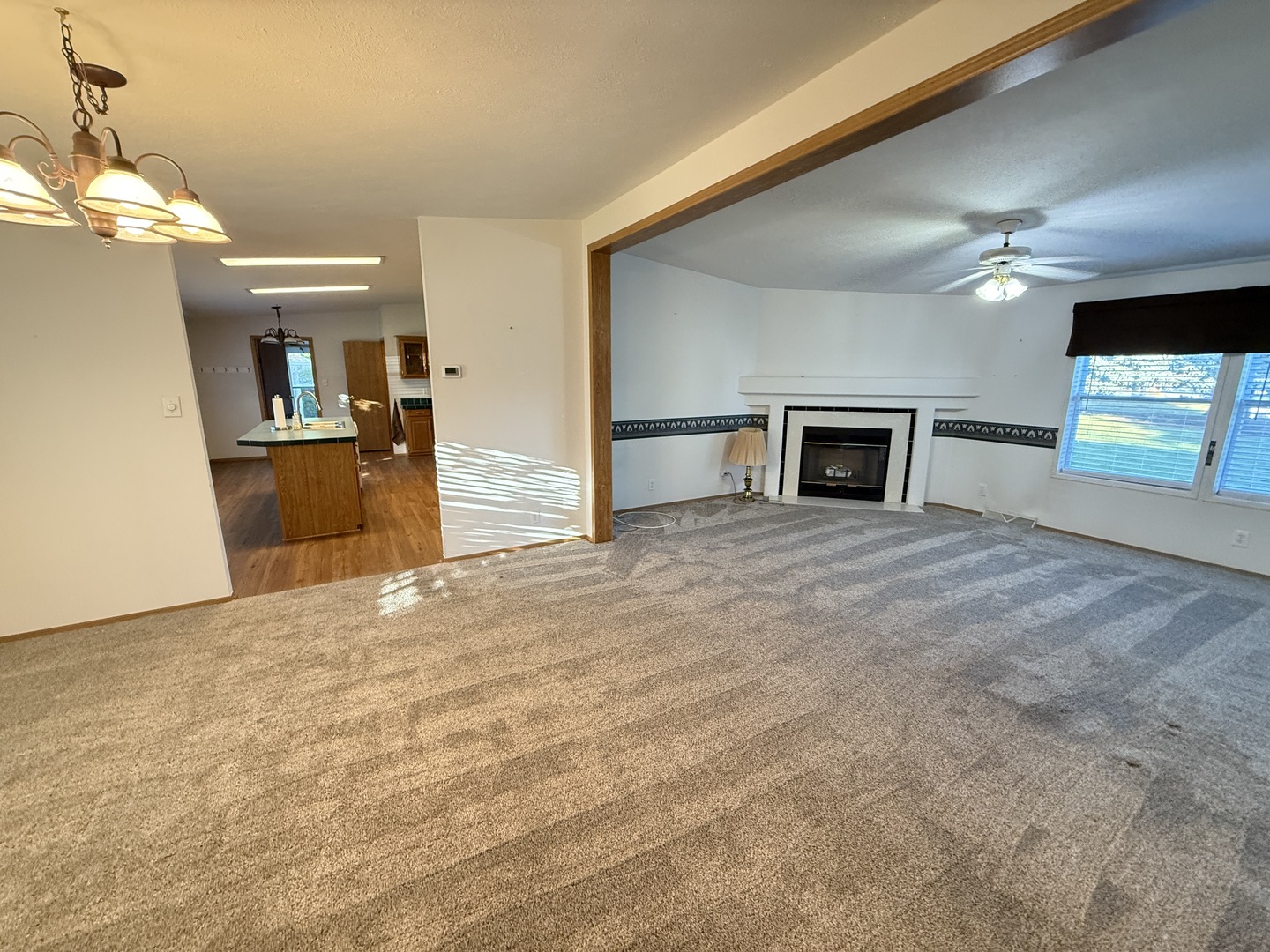 1007 Woodlawn Drive, Manteno, IL 60950