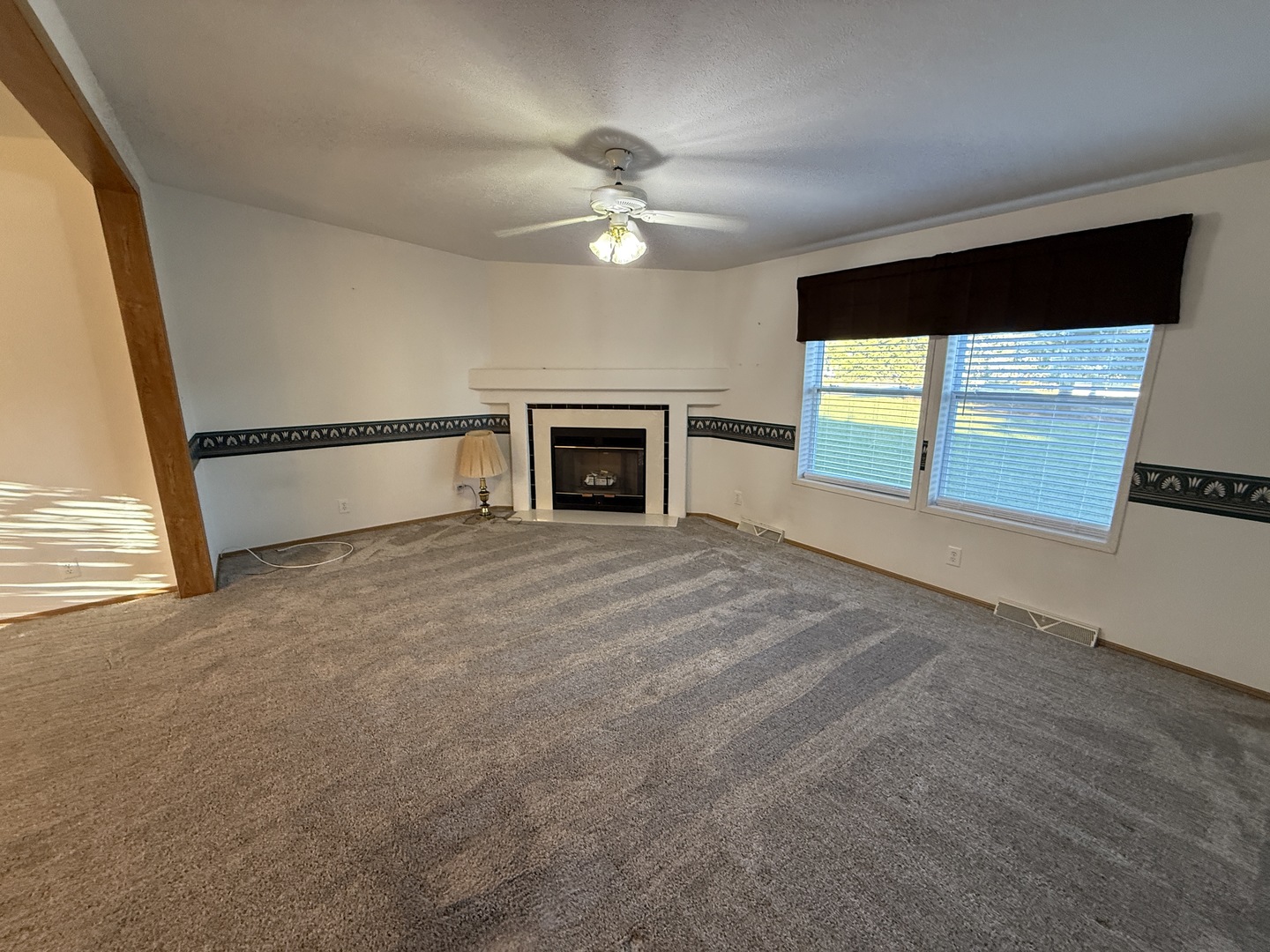 1007 Woodlawn Drive, Manteno, IL 60950