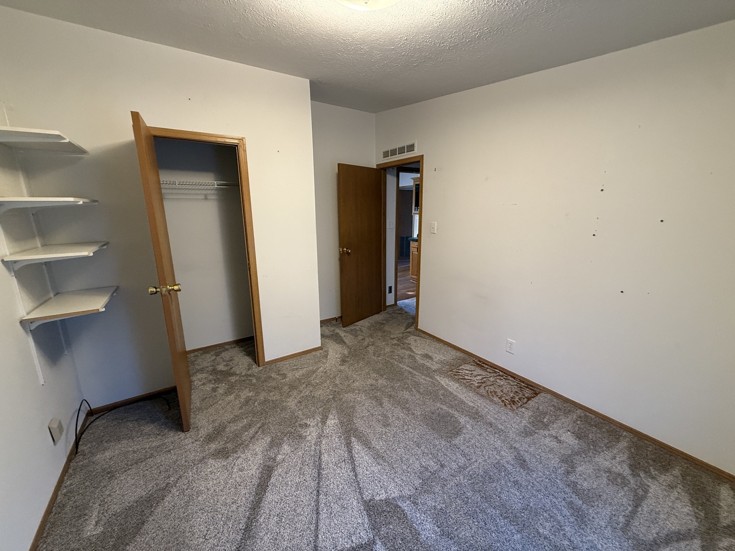 1007 Woodlawn Drive, Manteno, IL 60950