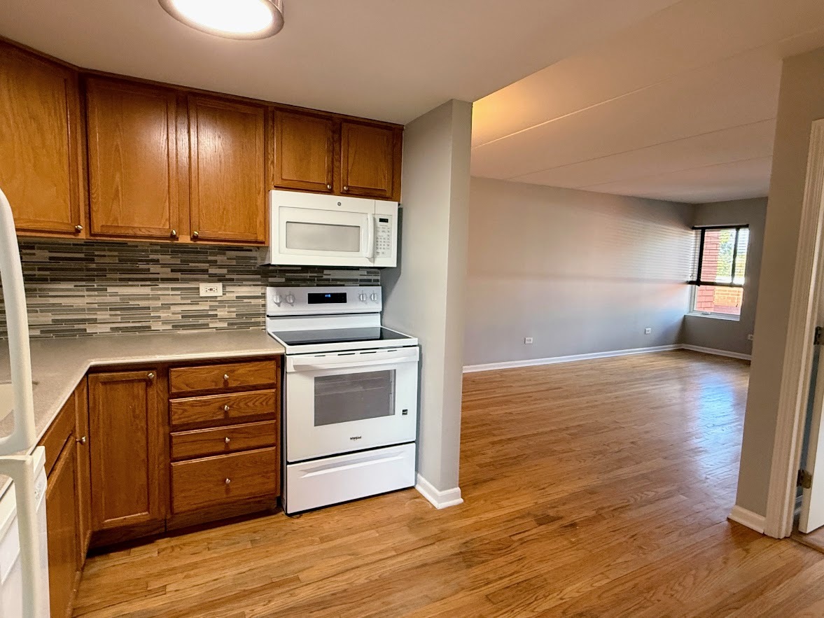 1041 Susan Collins Lane #402, Oak Park, IL 60302