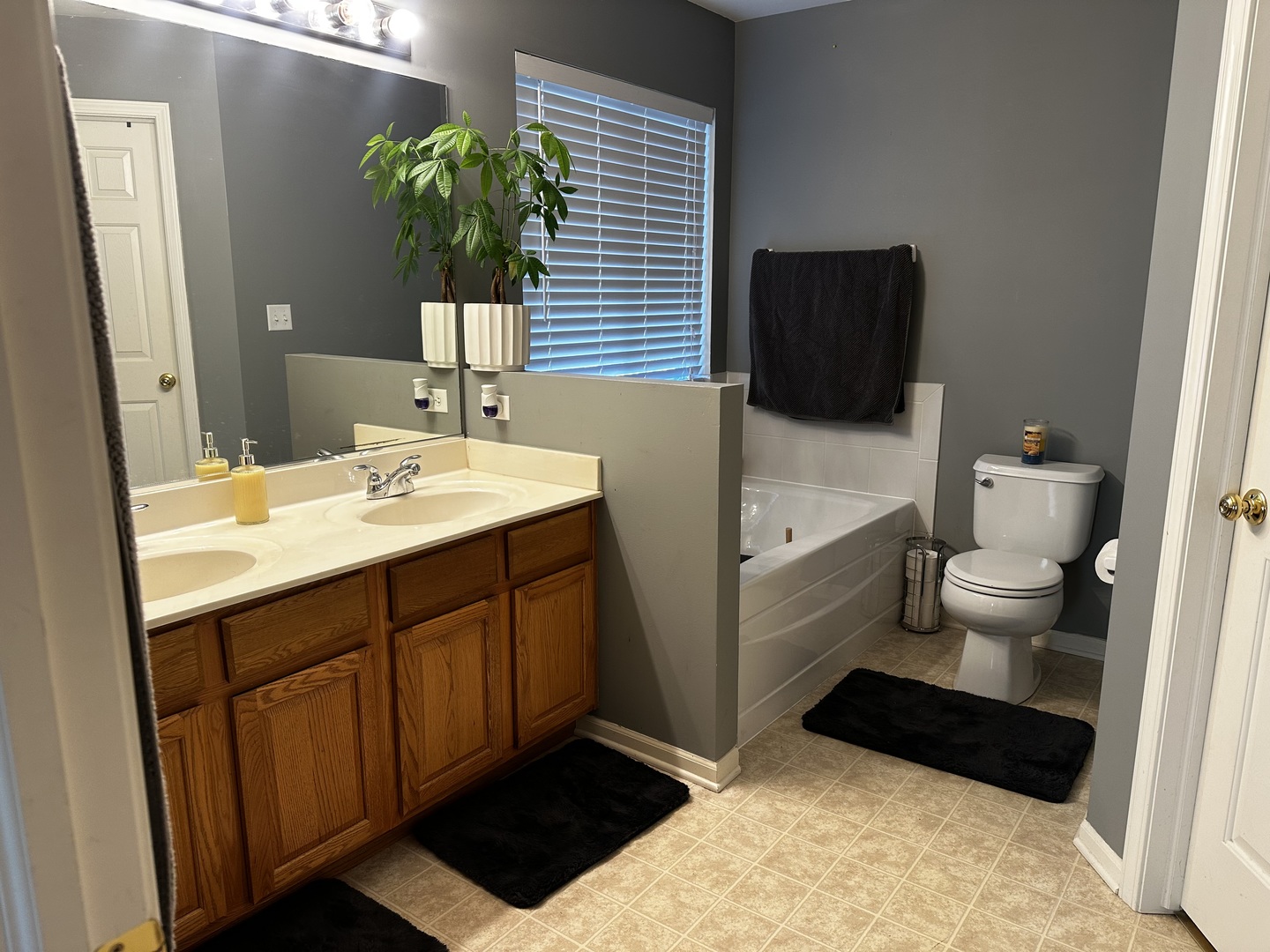 709 Winterberry Drive, Joliet, IL 60431