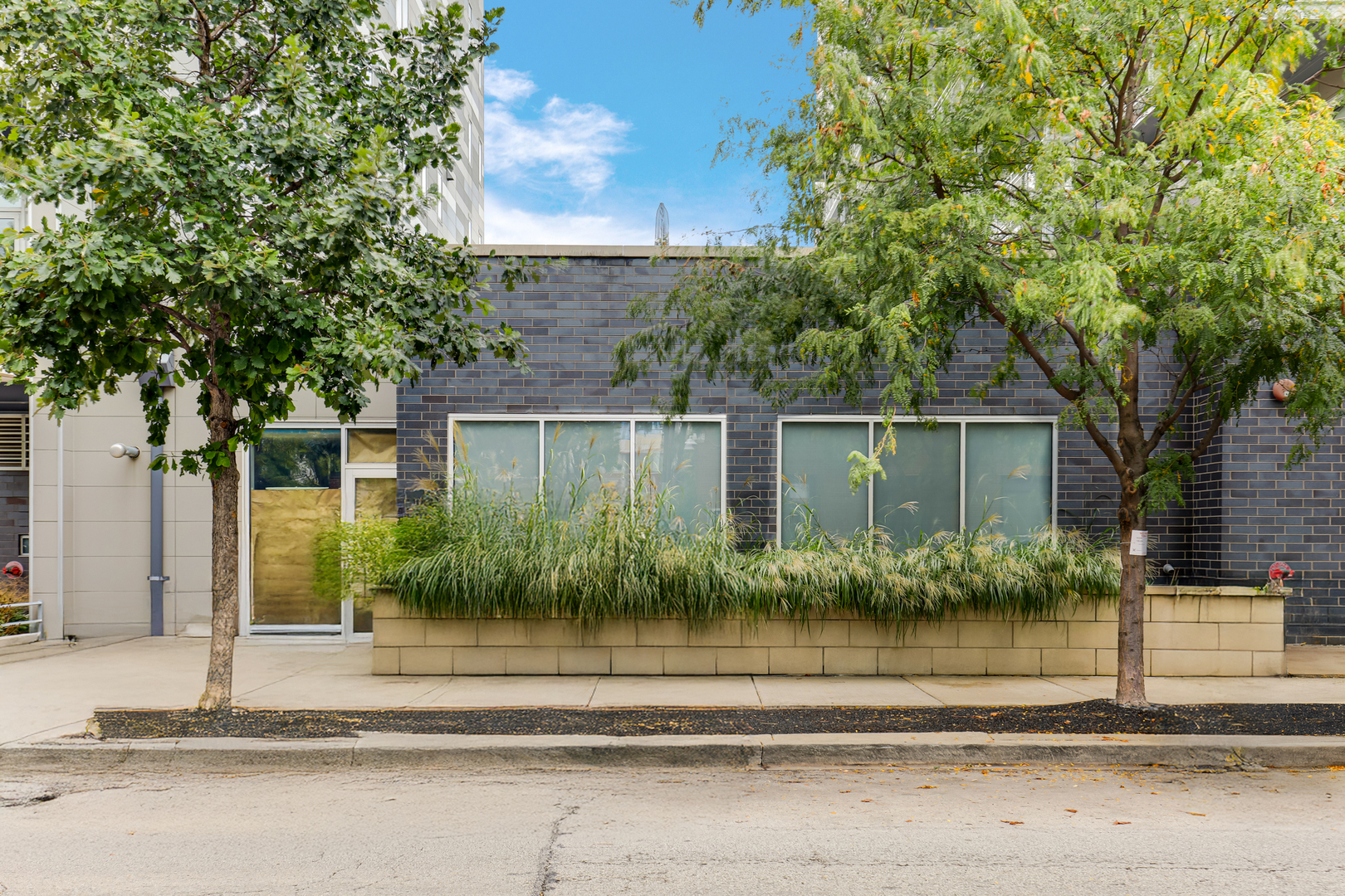 1100 W Adams Street #1, Chicago, IL 60607