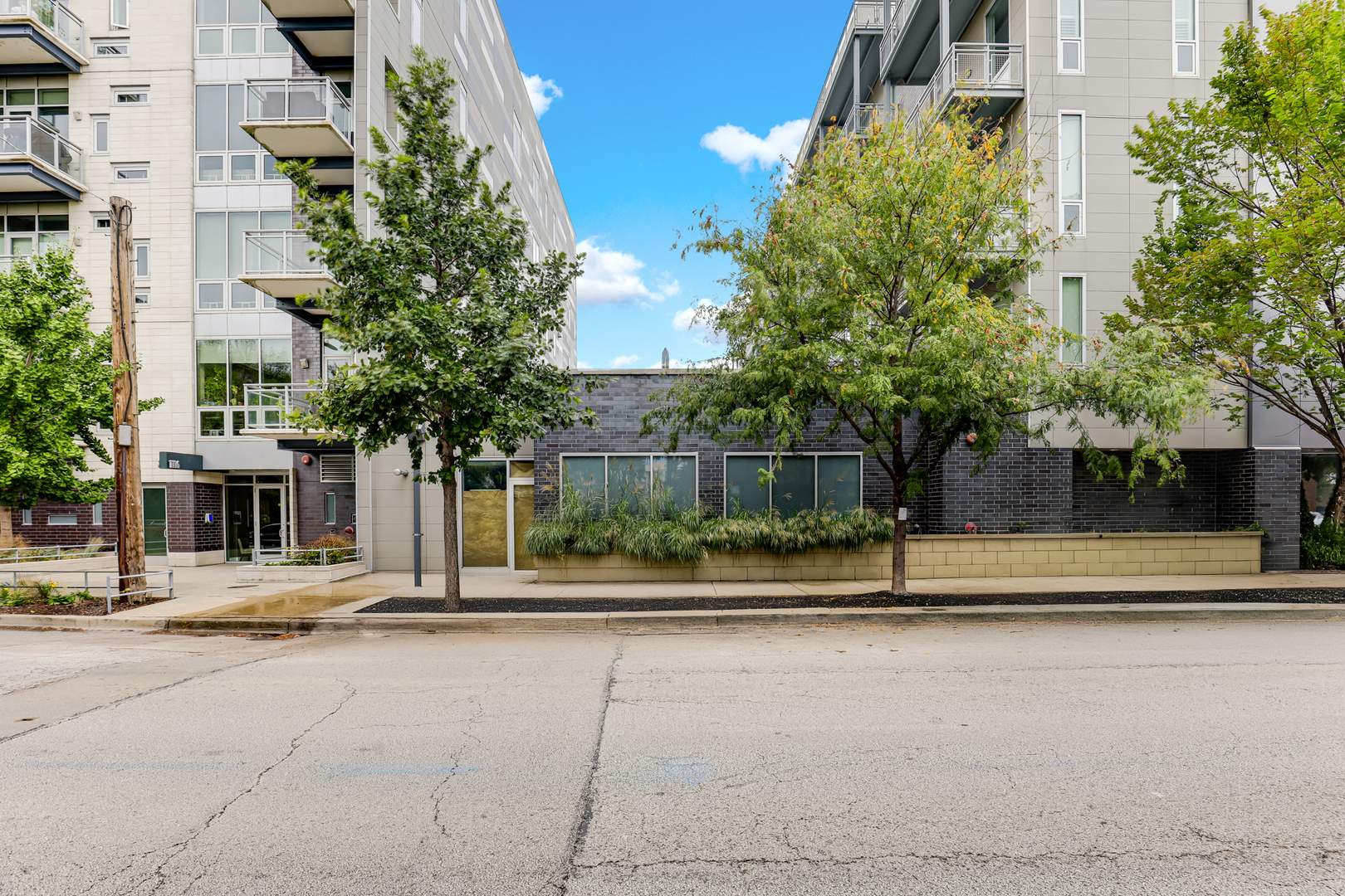 1100 W Adams Street #1, Chicago, IL 60607