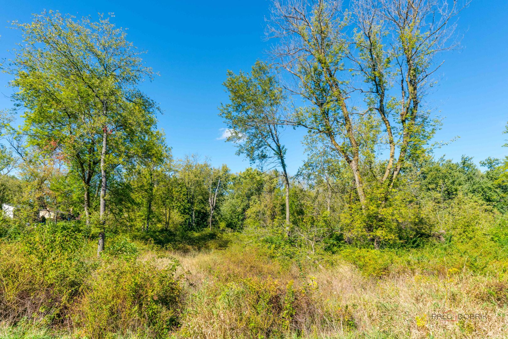 35100 N Indian Trail, Ingleside, IL 60041