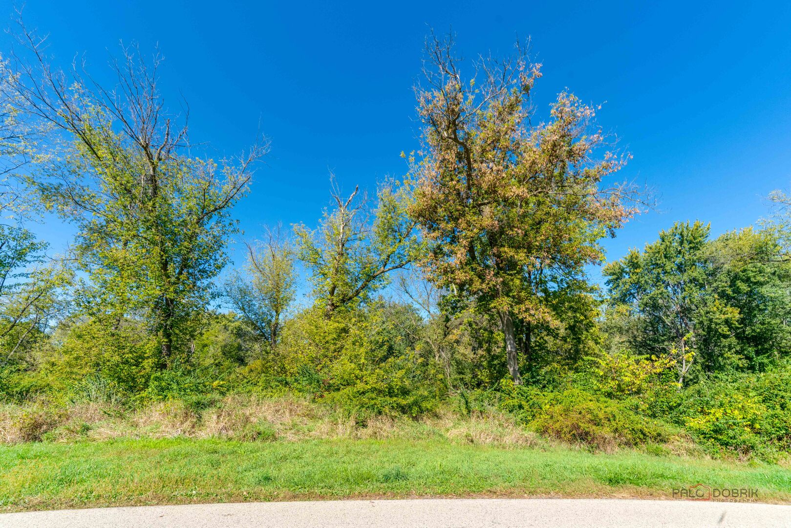 35100 N Indian Trail, Ingleside, IL 60041