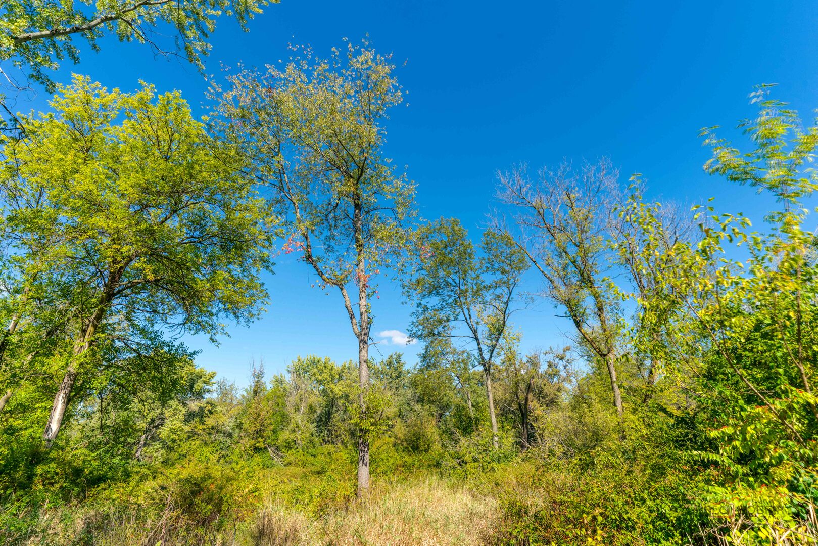 35100 N Indian Trail, Ingleside, IL 60041