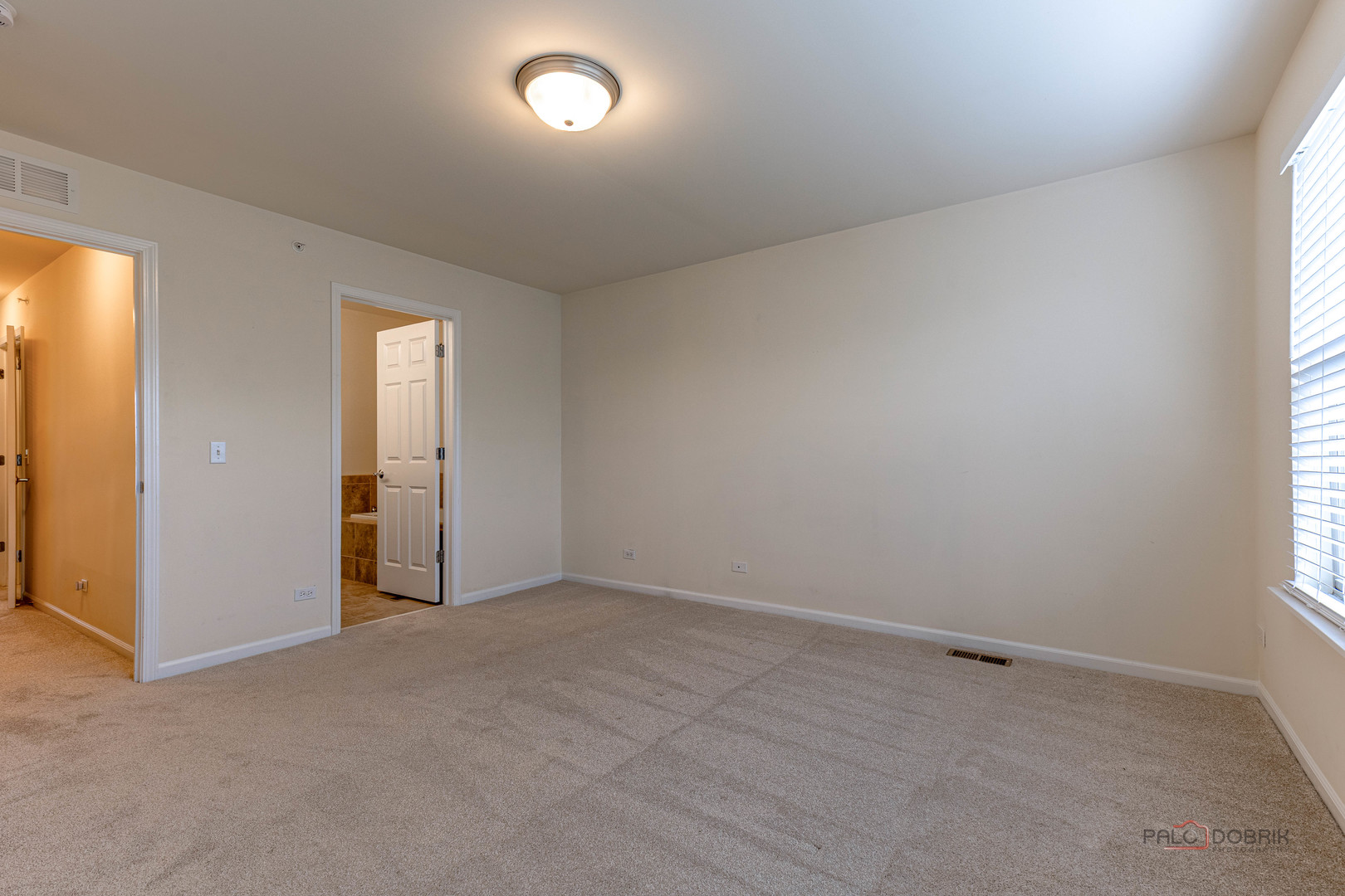 405 Alpine Springs Drive, Vernon Hills, IL 60061