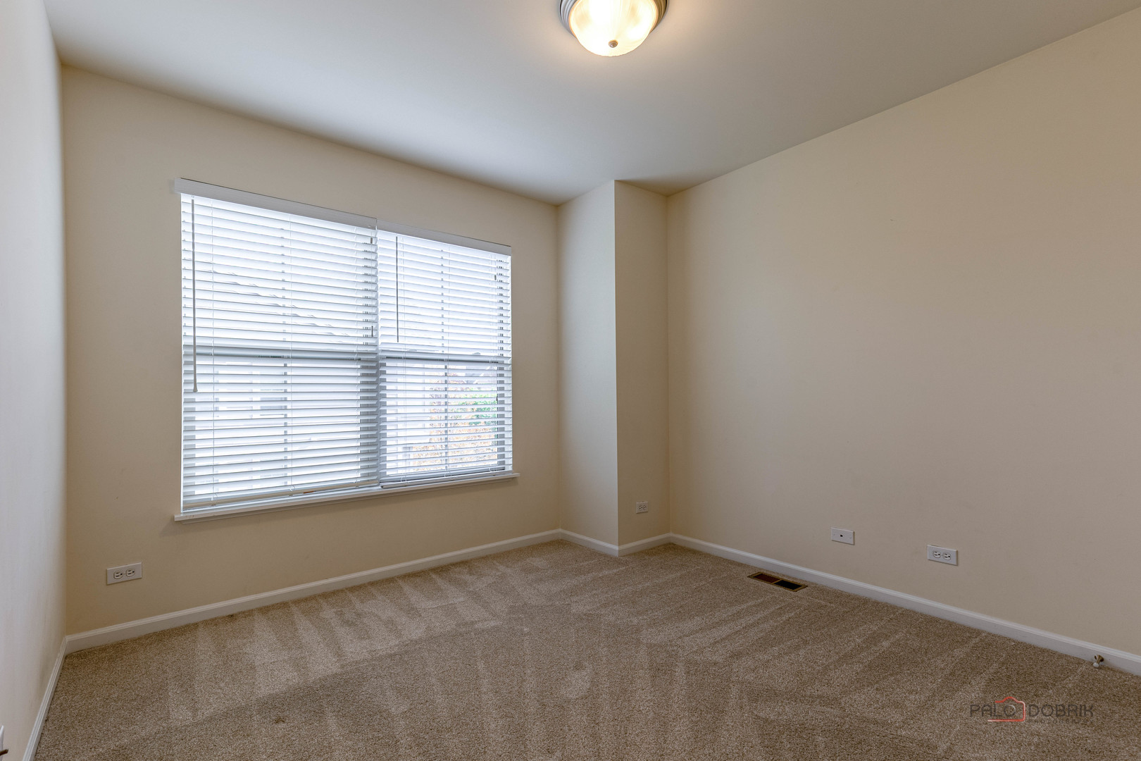 405 Alpine Springs Drive, Vernon Hills, IL 60061