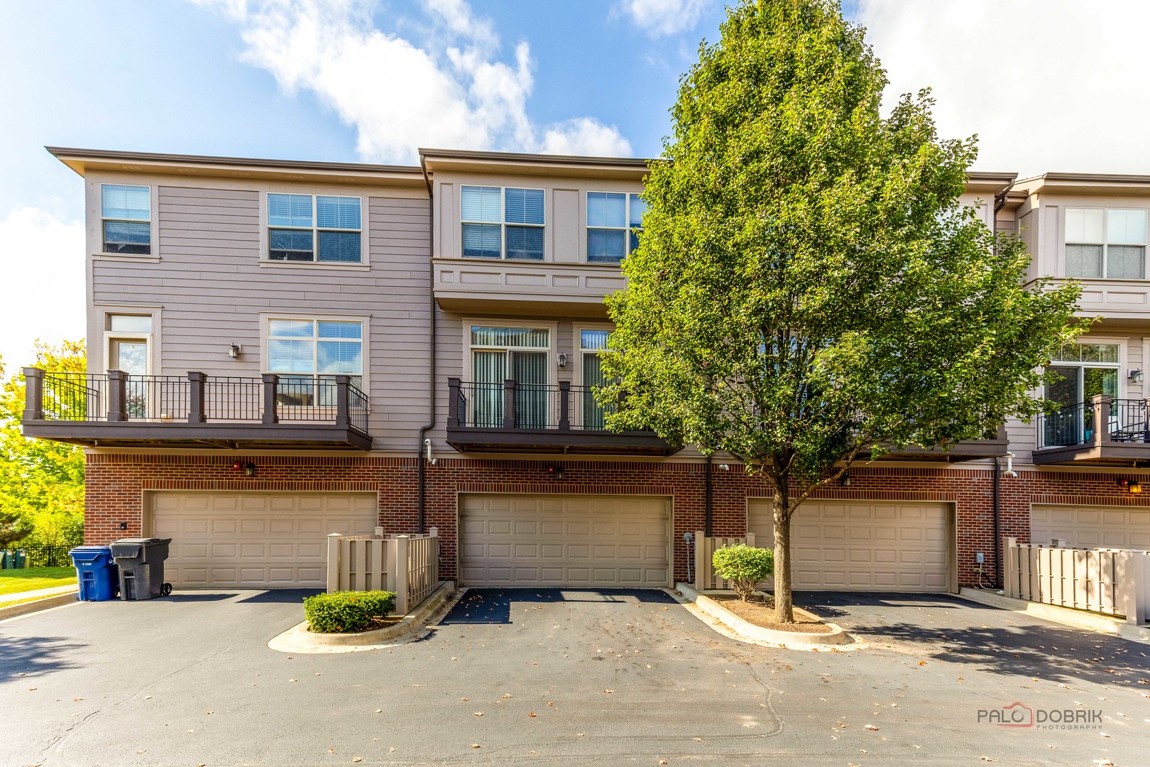 405 Alpine Springs Drive, Vernon Hills, IL 60061